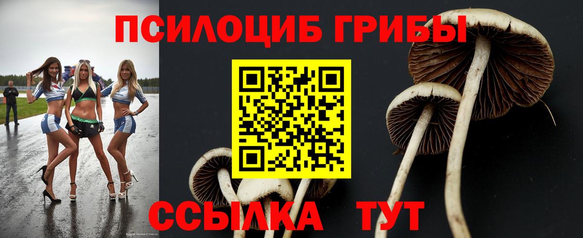 Галлюциногенные грибы MAGIC MUSHROOMS  Вход с VPN  Нововоронеж 
